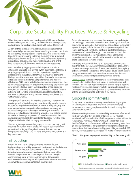 Corporate Sustainability Practices Whitepaper
